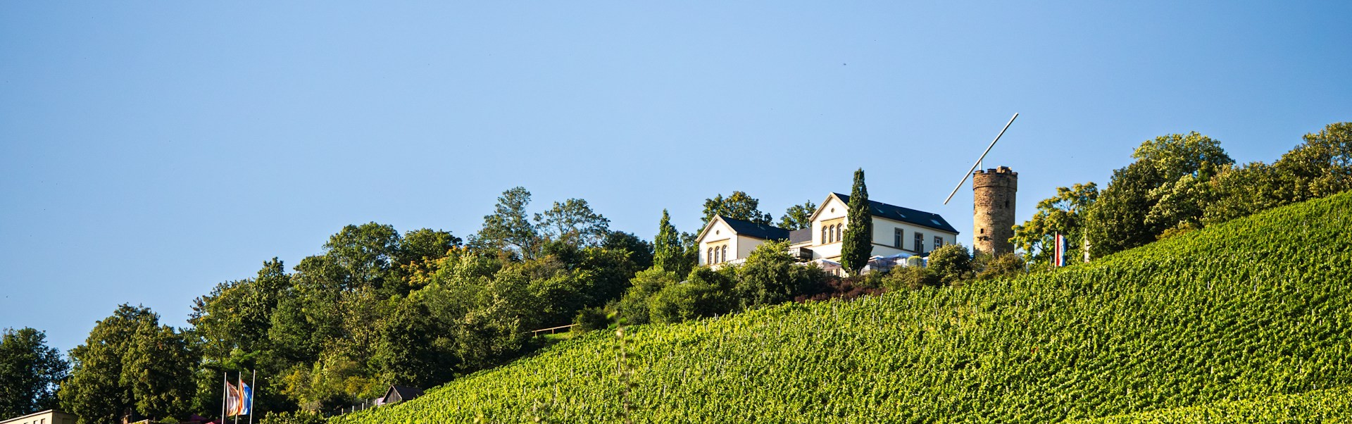 Heilbronn Named Europe’s Green Capital for 2027